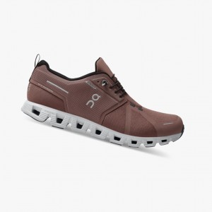 Cocoa / Frost On Cloud 5 Waterproof Men Running Shoes | WNHM06415